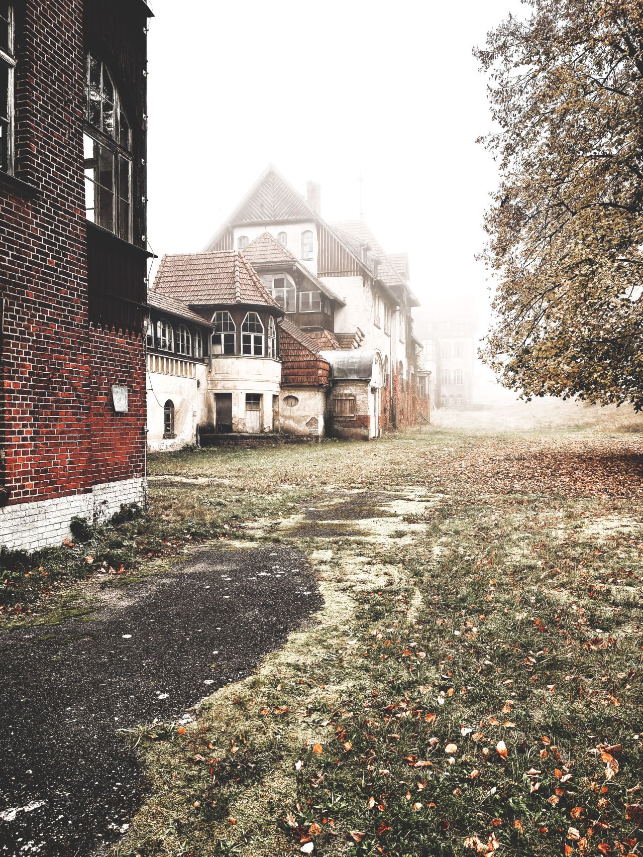 Verschlafen, aber in Lauerstellung
